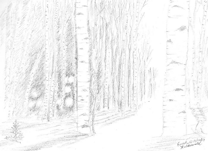 Winter Woodland Fairy Lights by Erich Heidewald